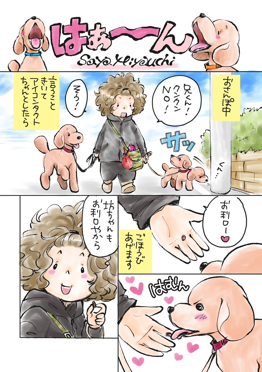 みやうち沙矢 イヌマンガ33 0225 ほんとに はあ ん て音が鳴るよ笑 犬 エッセイ漫画 書き下ろし トイプードル スタンダードプードル みやうち沙矢 とことこdays ドッグトレーナー漫画 Dogsignal 連載中 無料試し読み T Co