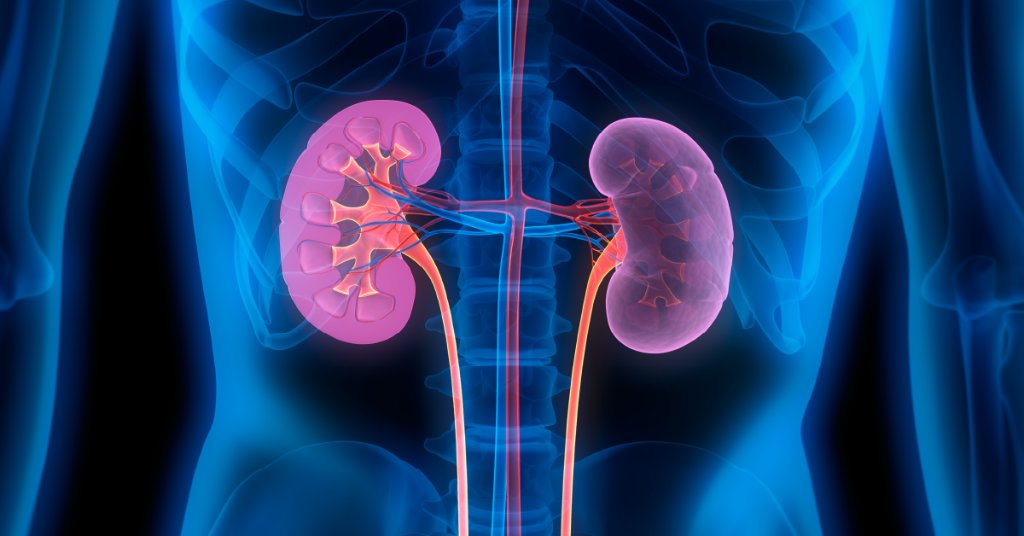 WebMD's tweet photo. Your kidneys need water to work properly. Not getting enough -- especially if that happens often -- can cause kidney damage. How to tell if you’re getting the right amount: https://t.co/TX1DRZRy3p https://t.co/NaRWilC0NI