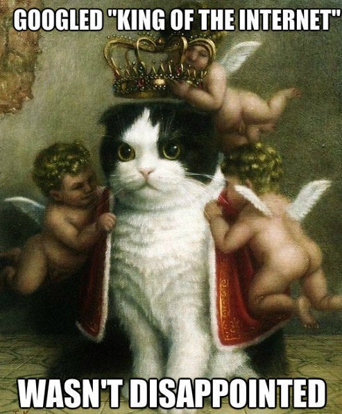 SentreeHost's tweet photo. Googled "King of the Internet." Was not disappointed.
#webhumor #mondaynightfunny #catmeme https://t.co/OGX6H6Mr8l