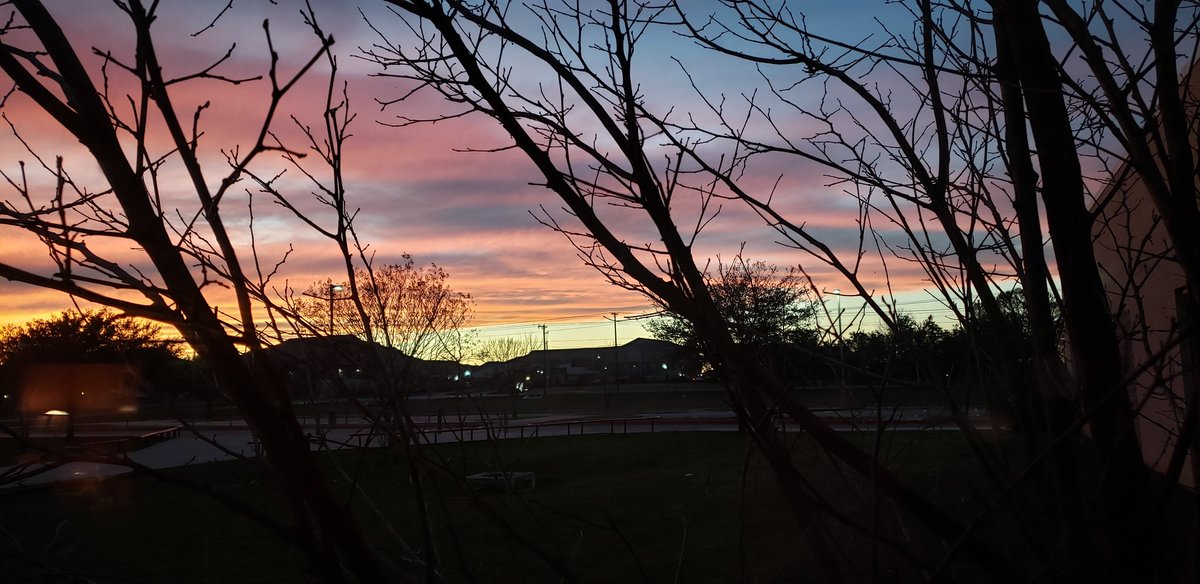 Shelly Crofford tweet media