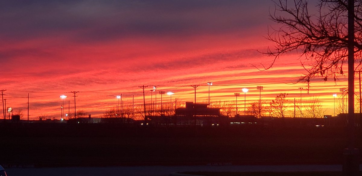 Shelly Crofford tweet media