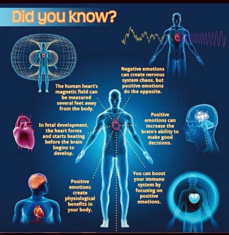 TYHLLC's tweet image. Did you breathe today? No, really feed your body ??? Why are you not your own best friend?💝