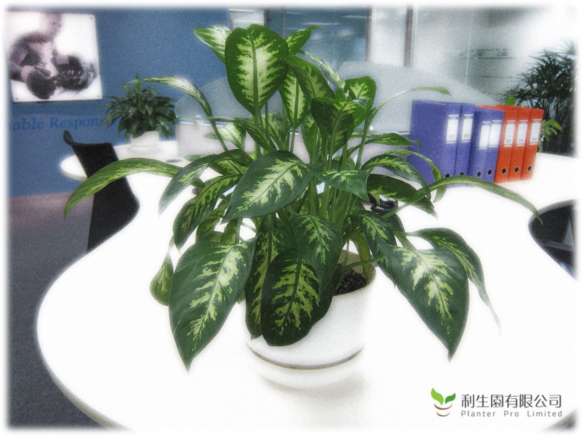 planterpro tweet picture