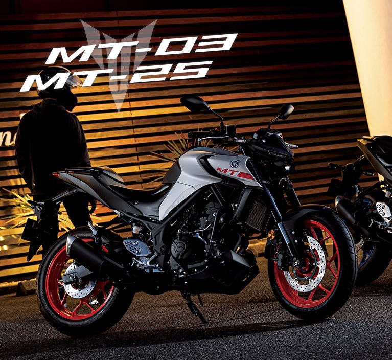 自賠責延長しました）MT-15 Yamaha 18.5馬力 水冷4ストローク 単気筒