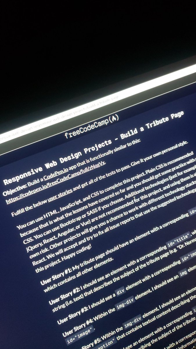 PapiSwazy's tweet photo. Day #012 of 100daysOfCode challenge and it starting getting tribute page looking better? https://t.co/qPH2LQmtQq