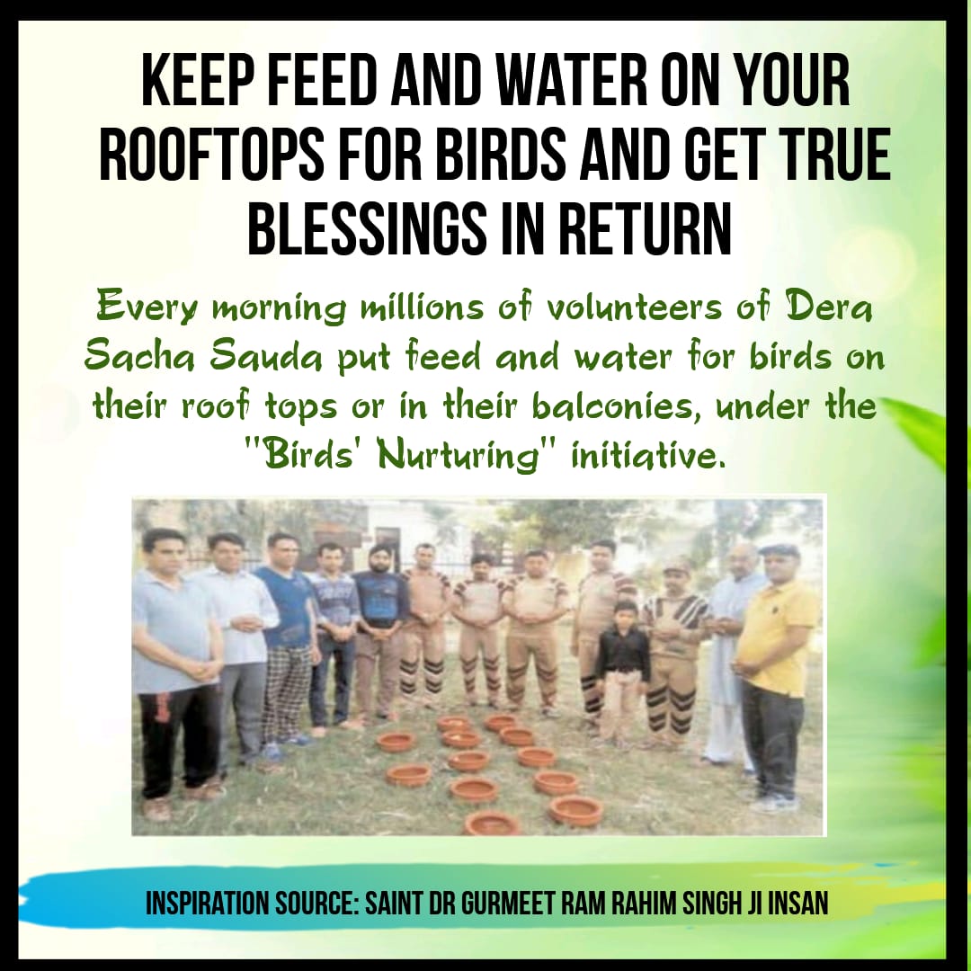RoseInsan11's tweet photo. #FeedTheBirds
Every morning millions of volunteers of #DeraSachaSauda put feed and water for birds on their roof tops or in their balconies , under the "birds nurturing" initiative. @Gurmeetramrahim https://t.co/TDxkpTKEJv