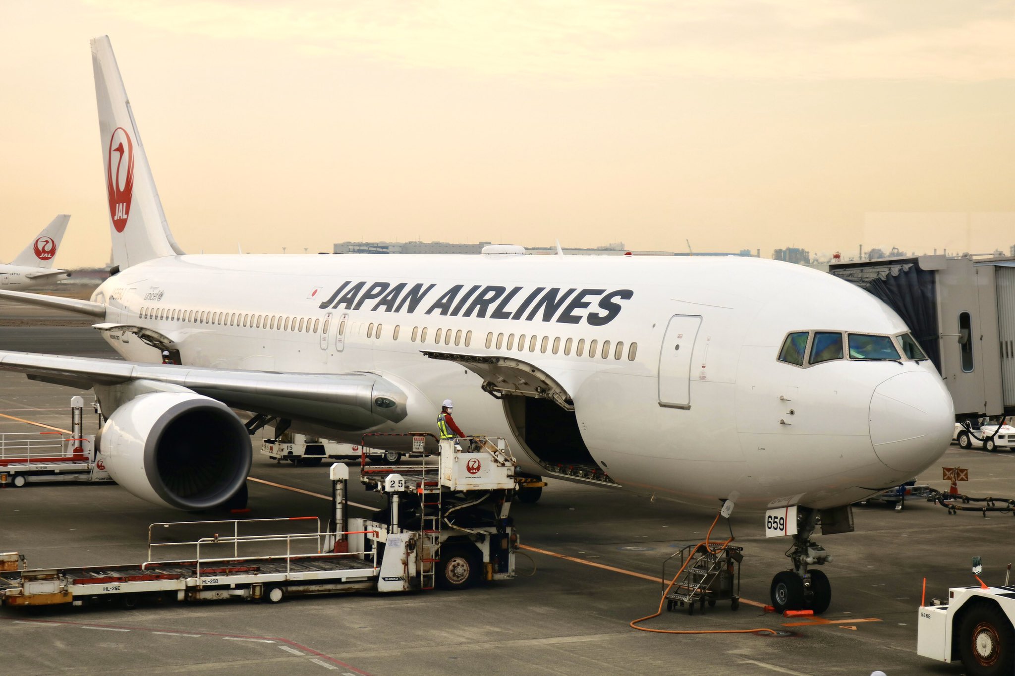 たろやま ちょいと広島に行ってきます 滞在時間は数時間かな笑 Jal259 羽田 広島 67 300er Ja659j Jal 羽田空港 広島空港 T Co Fw3n3xakjp Twitter