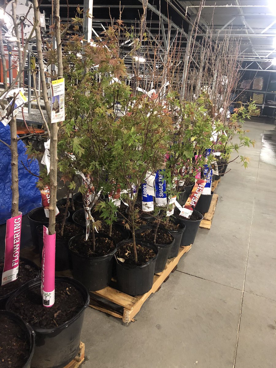 Healthier_Heath's tweet photo. Trees are coming in. Getting ready for spring.  First overnight in a while.  Wish me luck #luck #spring2020 #thd #str2219 #yep #tired #work #overnight https://t.co/Mcz3XglkDx