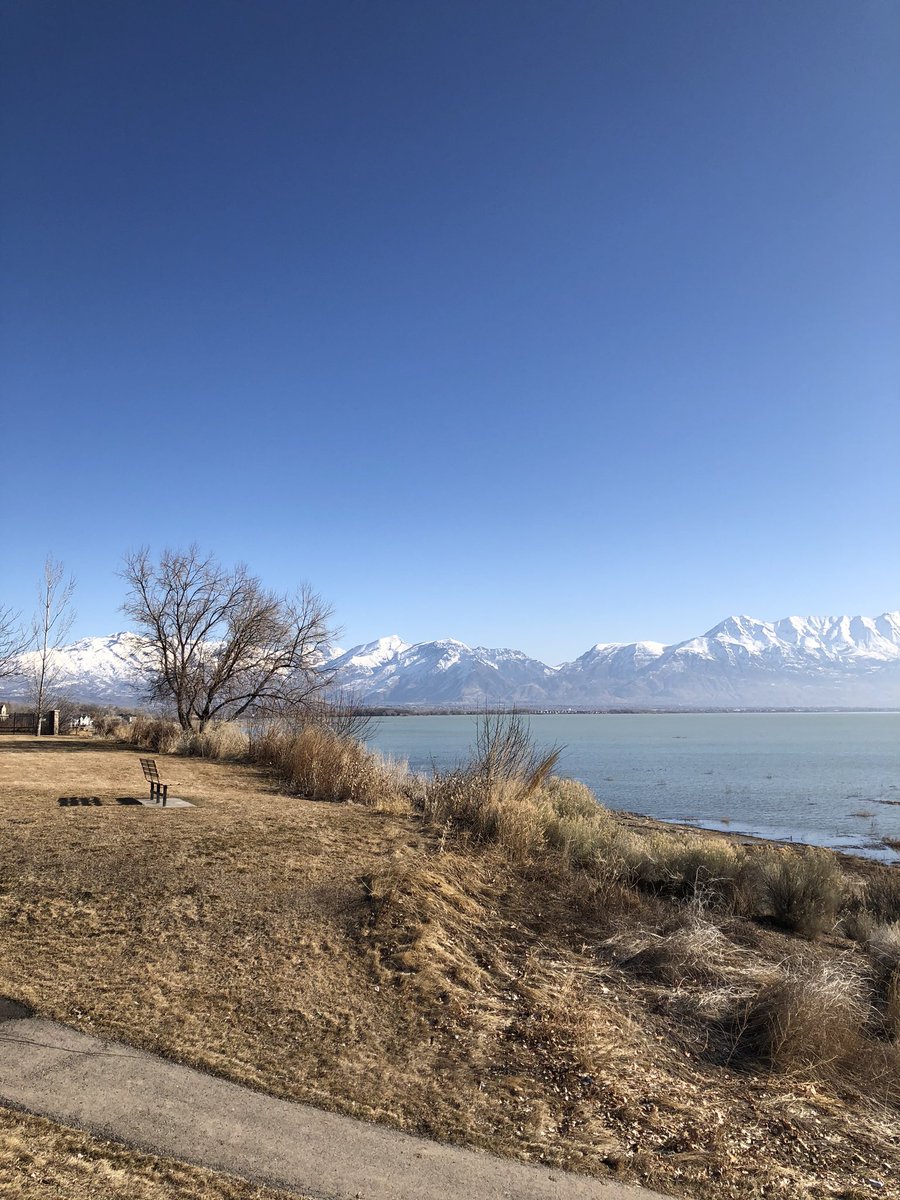 Clear blue skies and sunshine today. Hoping for warmer days ahead. Reading a couple of thrillers this week and getting my query letter and synopsis done. #WritingCommunity #writerslift
Is anyone else pitching next month?
#Pitmad #amquerying