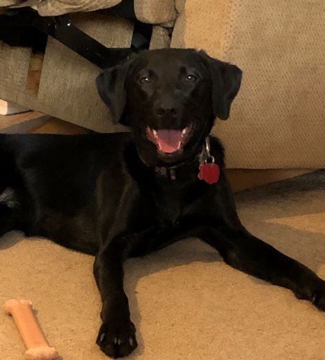 justRosie tweet media