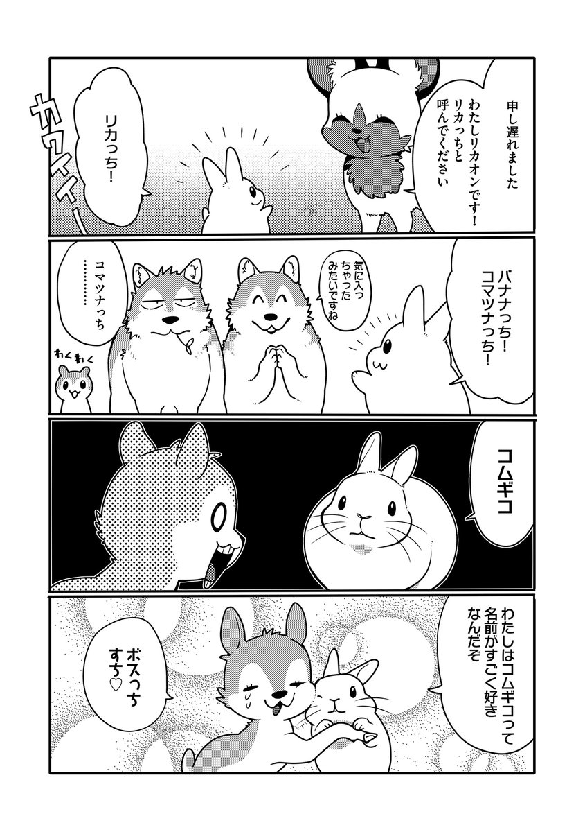 Hugピクシブ リラクトコミックス En Twitter 最新話更新 うさぎは正義 著 井口病院 Ichthy0stega 第91話 本日更新 T Co 67sjzdjthl うさぎは正義 井口病院 Hugピクシブ Pixivコミック