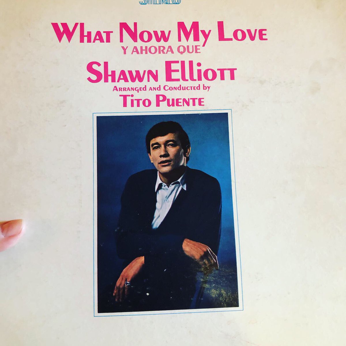 Donna Murphy tweet media