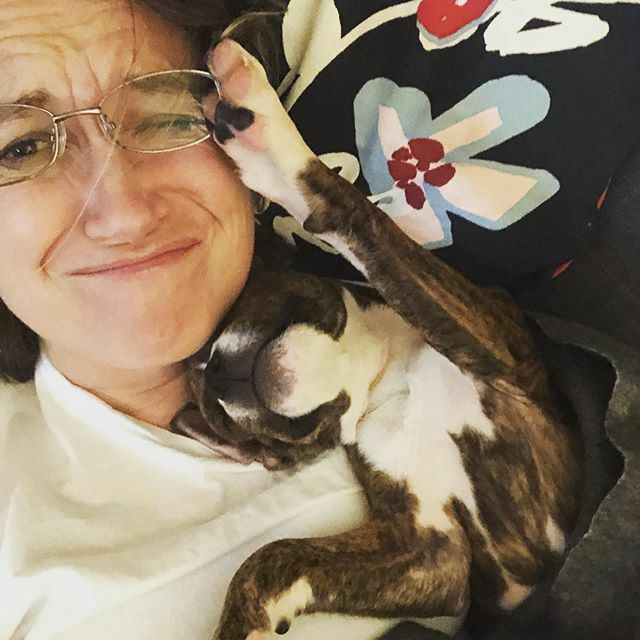 autumnwrites's tweet photo. It’s ridiculous how cute this little one is! #puppy #love #cute https://t.co/FDHnDUe8Rg https://t.co/L8r3BzL4Be