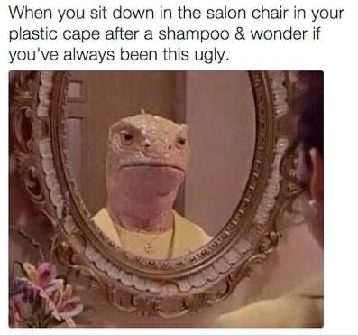 socksnpop's tweet photo. My life https://t.co/vn9Dild7fe