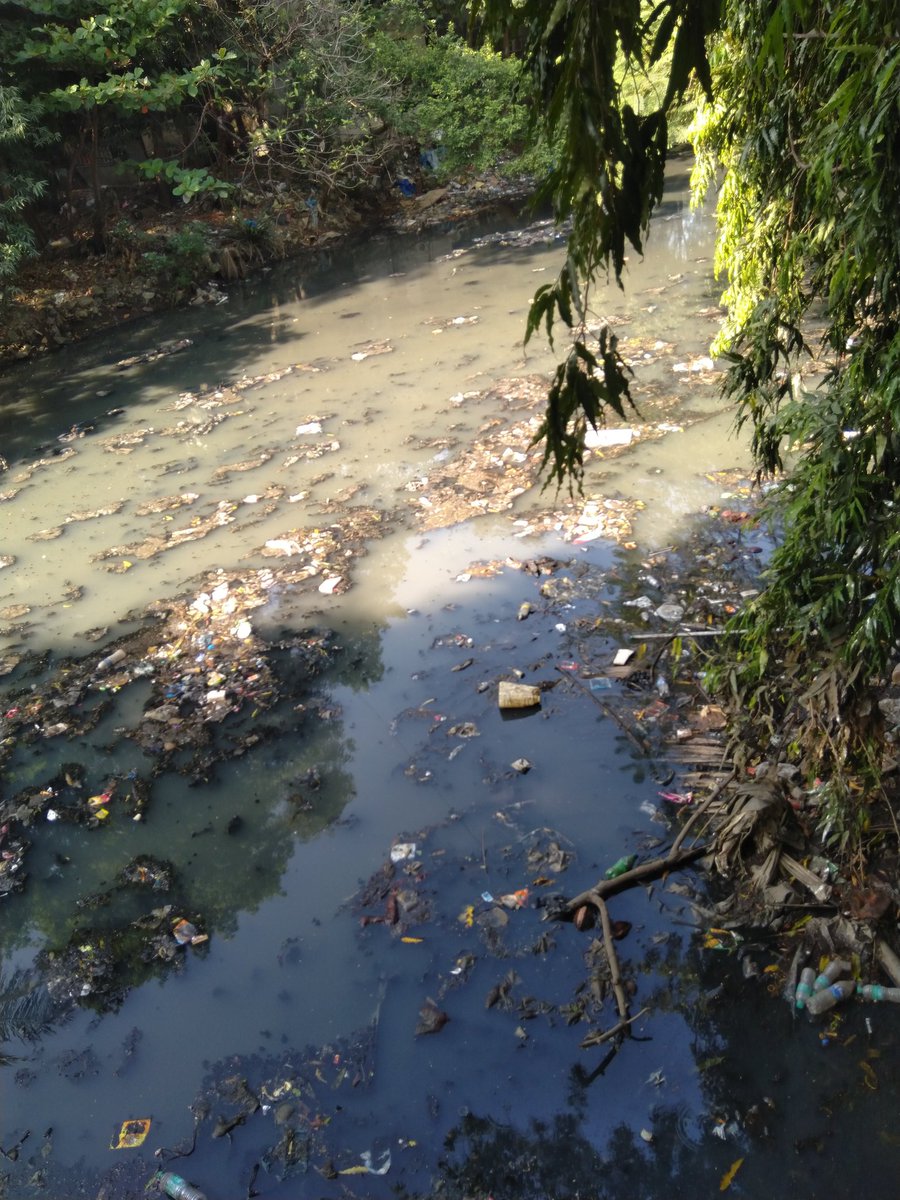 Vakola river no clean up after monsoon period 15% clean to be done not yet accomplished even after repeated requests concerned authorities pl wake up and help us get rid of bad odor and mosquitoes