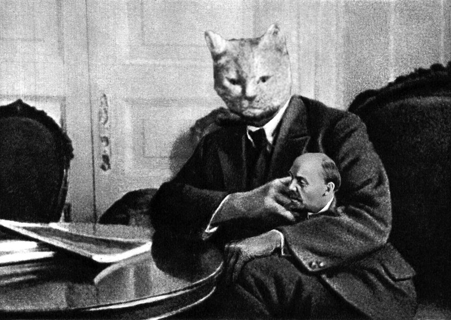 “лучшее за утро) in Soviet Russia, cat pets you” .
