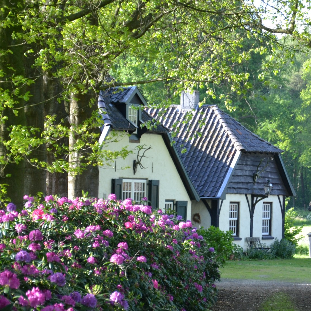 NIEUW: uniek #vergaderen in het prachtige Achterhoekse coulisselandschap 💚Ontdek deze Inspiratie-Locatie op onze website:  bit.ly/3c6cXT9 

#vergaderlocatie #inspiratielocatie