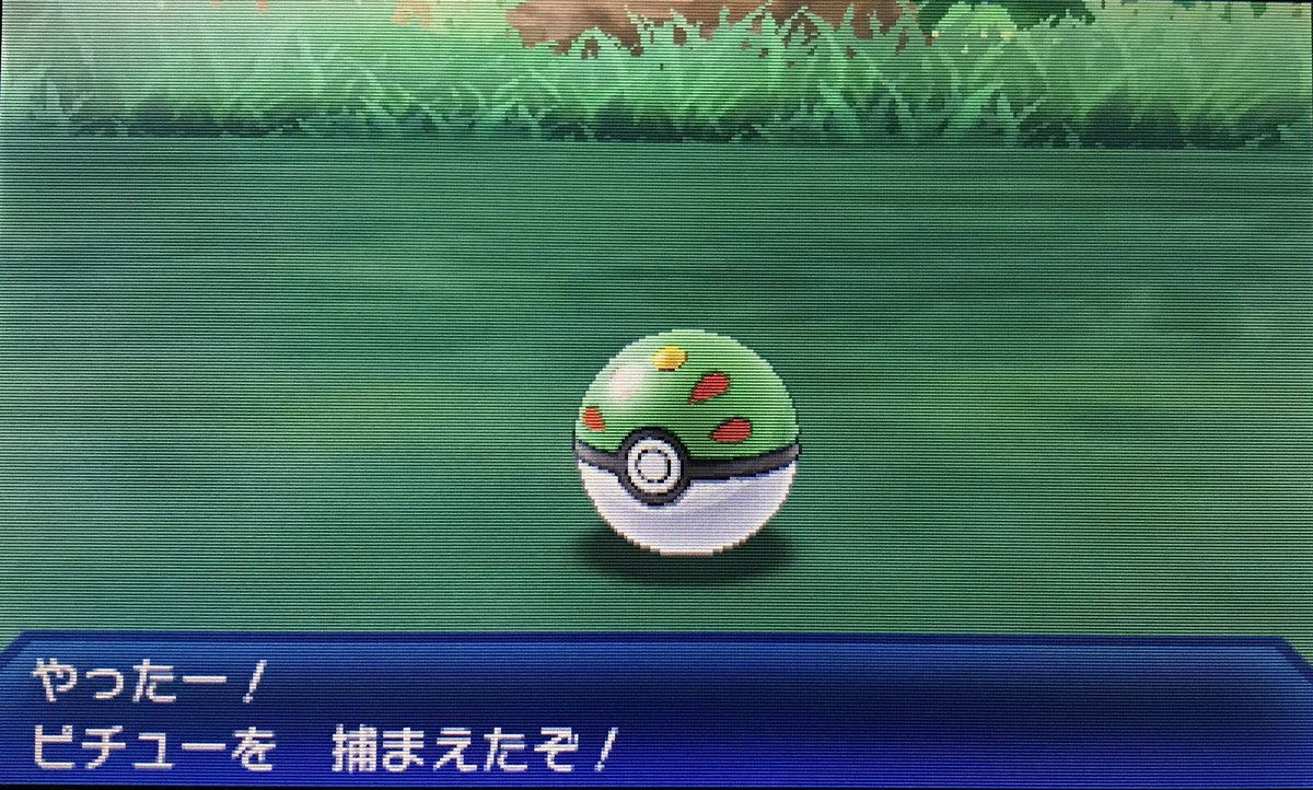 O Xrhsths らいち Sto Twitter フレボ個体作るついでに仲間呼び連鎖で色ピチュー召喚しました 今回は早く出てくれた 仲間呼びは手軽に色違い狙えて良いね