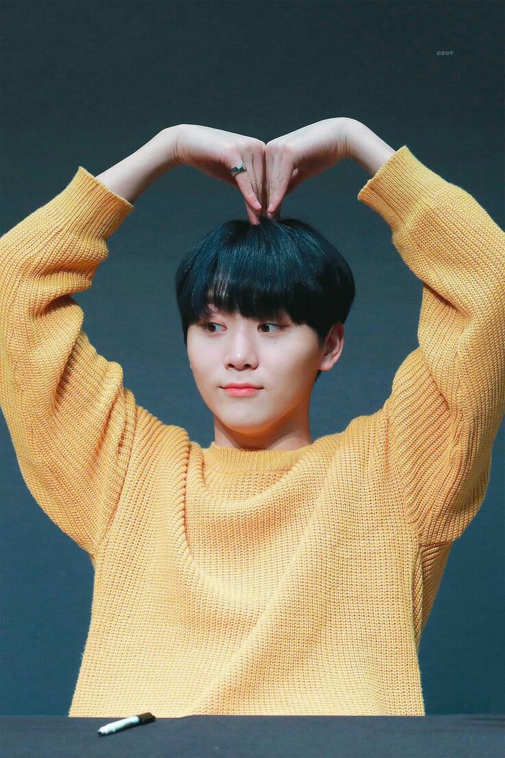 Boo Seungkwan #SEVENTEEN  @pledis_17