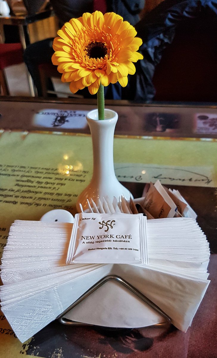 Janonautas's tweet photo. Hemos hemos desayunado en el New York Café de #Budapest. Uno de los locales más emblemáticos de la ciudad.
#budapestcard #budapestinfo #visitbudapest #newyorkpalacebudapest https://t.co/reRq6vPF9n