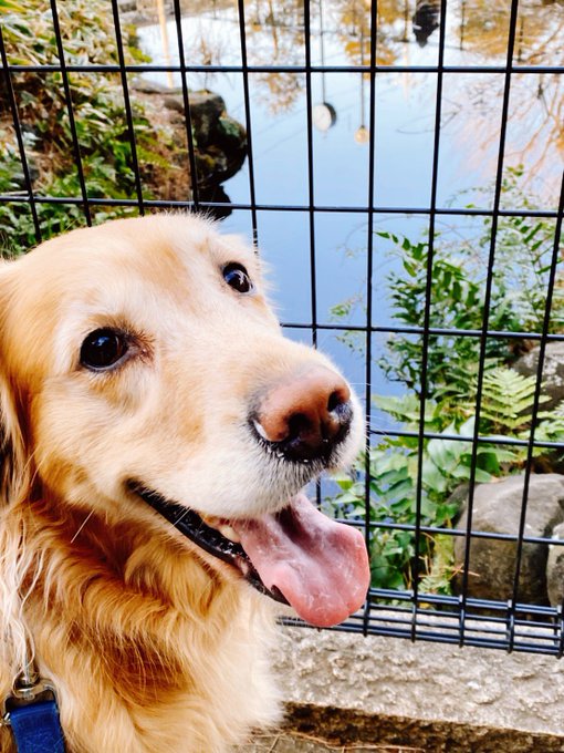 浅倉大介さん の最近のツイート 6 Whotwi グラフィカルtwitter分析