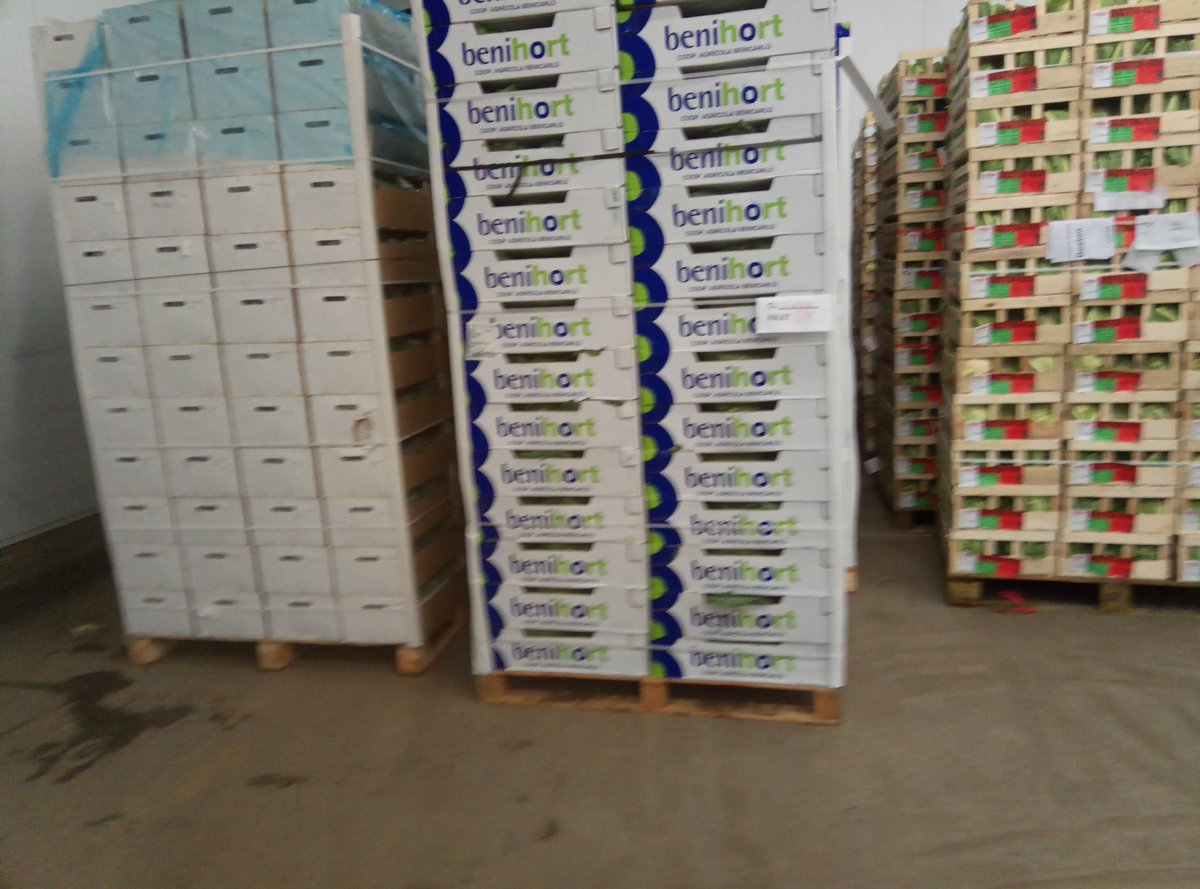 worldfresh1's tweet photo. Thank you to our over seas partners in Spain and France. The deliveries this morning look great! New Season Savoy, Broccoli and French Cauliflower https://t.co/xVx8WaNfz2