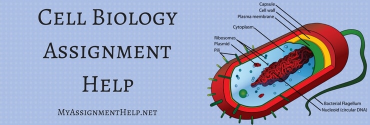 massignmenthelp's tweet image. #cellbiologyassignmenthelp #cellbiologyhomeworkhelp
Cell Biology Assignment Help
To know more about the services, contact us or visit our website myassignmenthelp. We are just a call away from help. Avail The Services Here.👉myassignmenthelp.net/cell-biology-e…