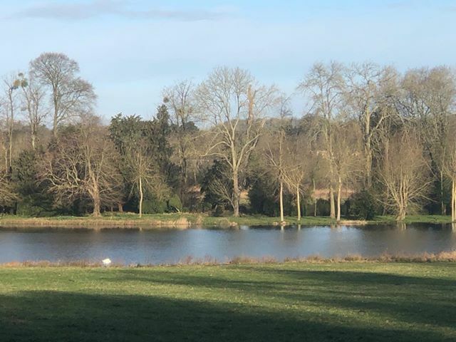 WinchesterWOW tweet media