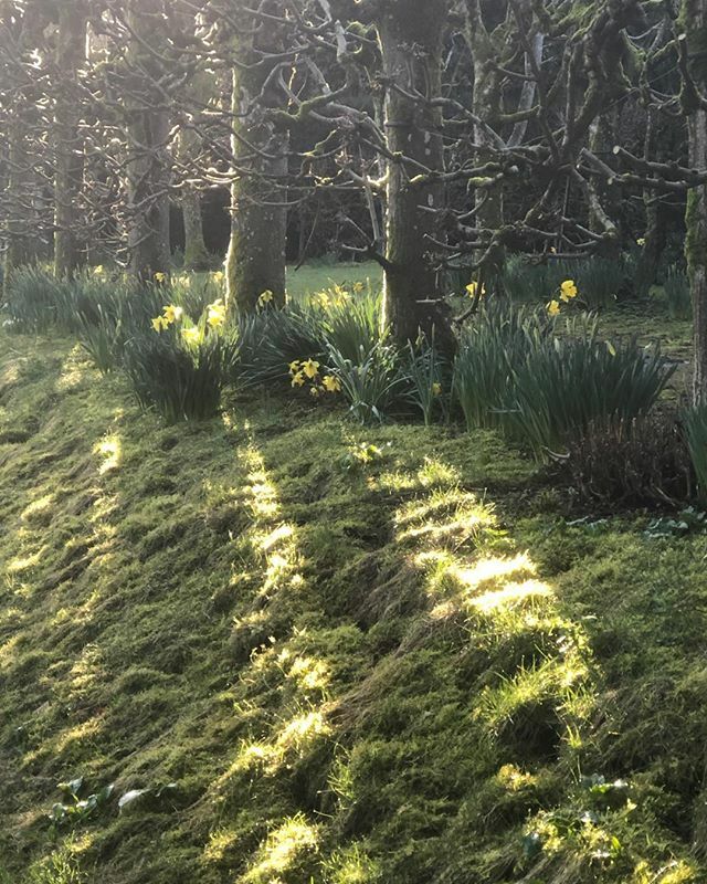 WinchesterWOW tweet media