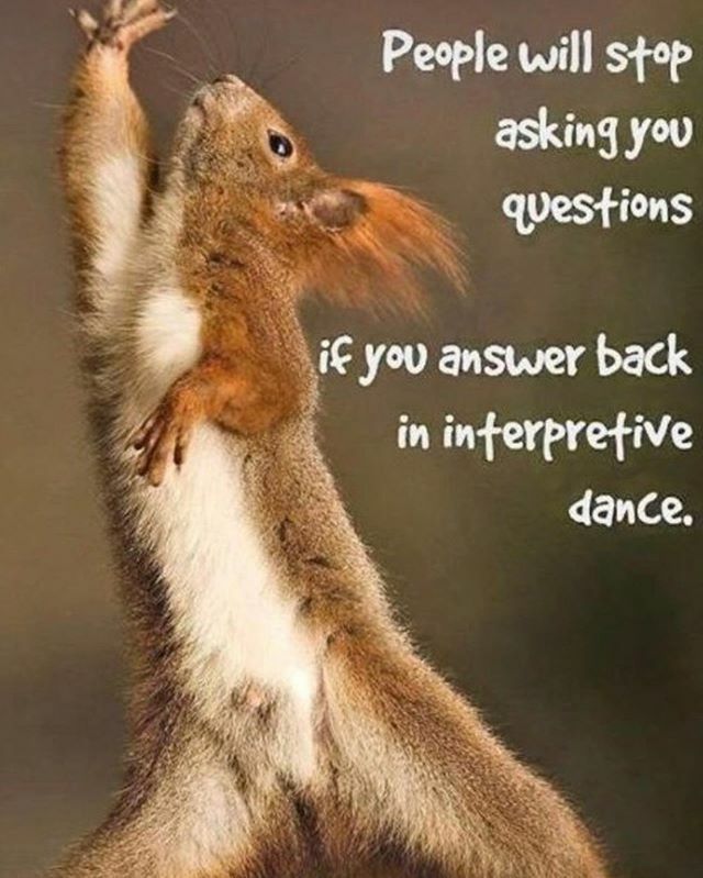 BarbaraCobbHats's tweet image. Just tried this with my kids 😂
#icrackmyselfup #brimgirl #solidgold #shakeyourgroovething #stressrelief