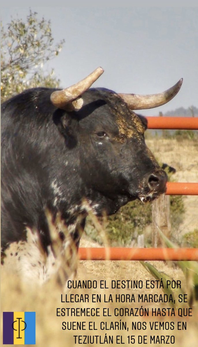 Nos vemos en Teziutlán.
15 de Marzo 6 <a href="/TorreondCanas/">Torreón de Cañas</a> 6
facebook.com/events/2883705…