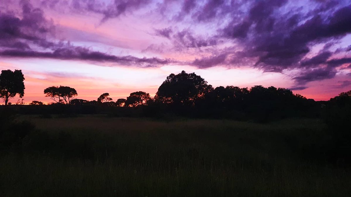 Offbeat Mara Camp tweet media