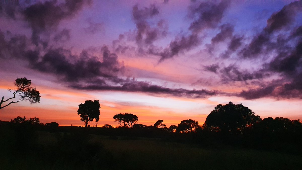 Offbeat Mara Camp tweet media