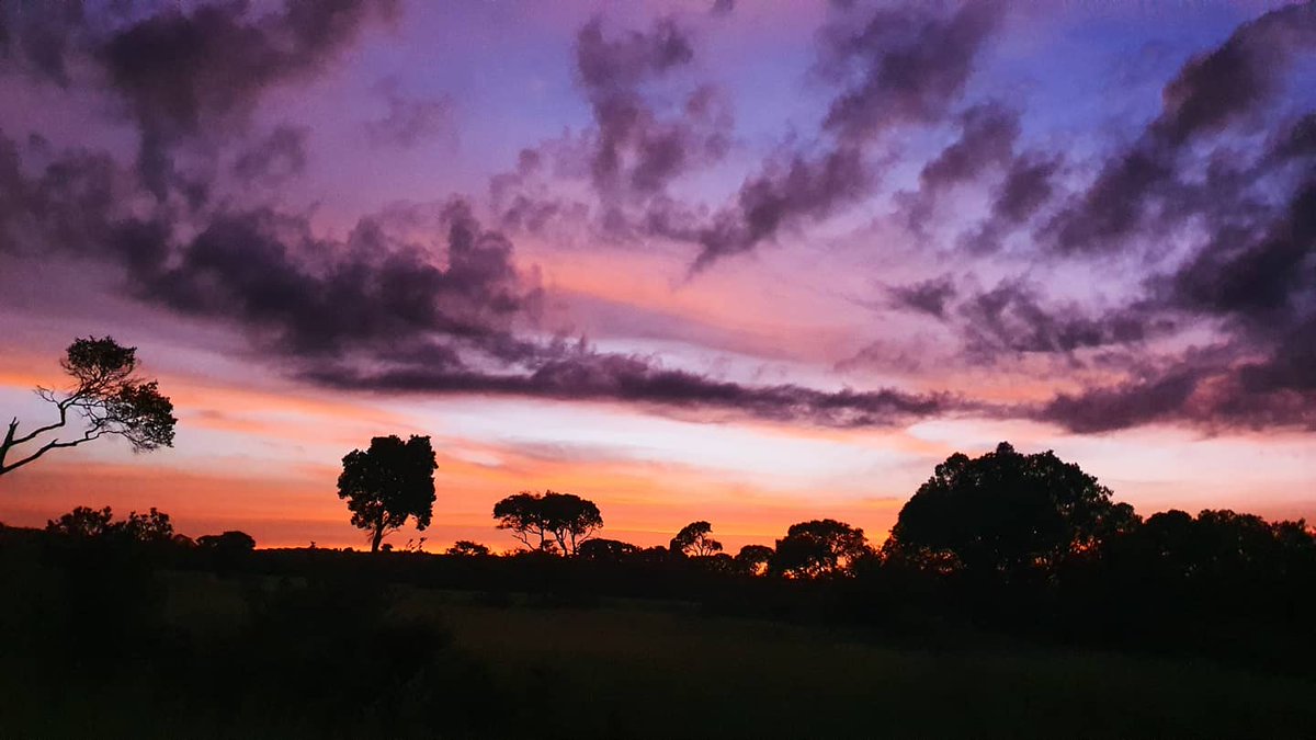 Offbeat Mara Camp tweet media