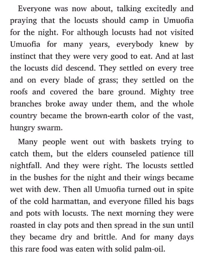 henriabuya's tweet photo. How the residents of Umuofia in Chinua Achebe’s Things Fall Apart dealt with locusts .
 #LocustInvasion 
#LocustInvasionKe 
#locustsinug https://t.co/PVZE9oBc9Q