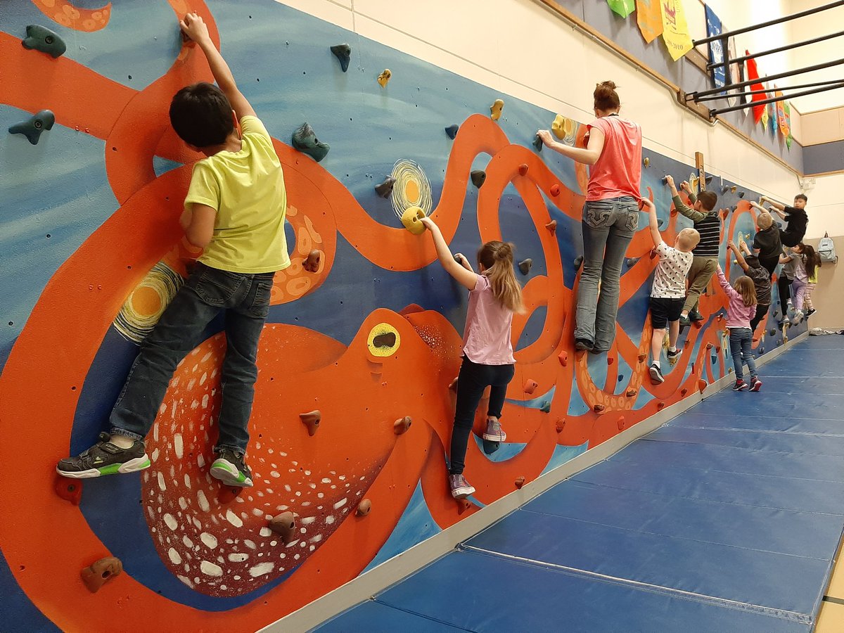 A former student painted the background of our rockwall this past summer. We worked really hard not to ruin her beautiful painting as we strategically placed the holds back on the wall. #rockwall #perocks #alaskape #creativity #seacreatureandstarrynight #muscularstrength