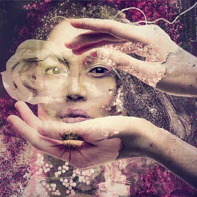 #petalgram #womanpower #digitalartistry #flowerart #naturaleza #artistadigital #pink #purple #mcl_arts #editgrammer #eg_member #bpa_arts #bpa_arts_members #twistingpixels #photoshopartistry #photoshopart #womanartist #colbyfiles #gobeyondthe_capture #moody_tones #ww_edits #m…