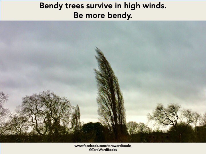 This thought came to me as I watched this tree swaying in #StormCiara ...