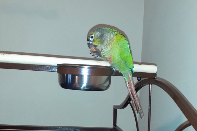 Resmi Twitter'da görüntüle