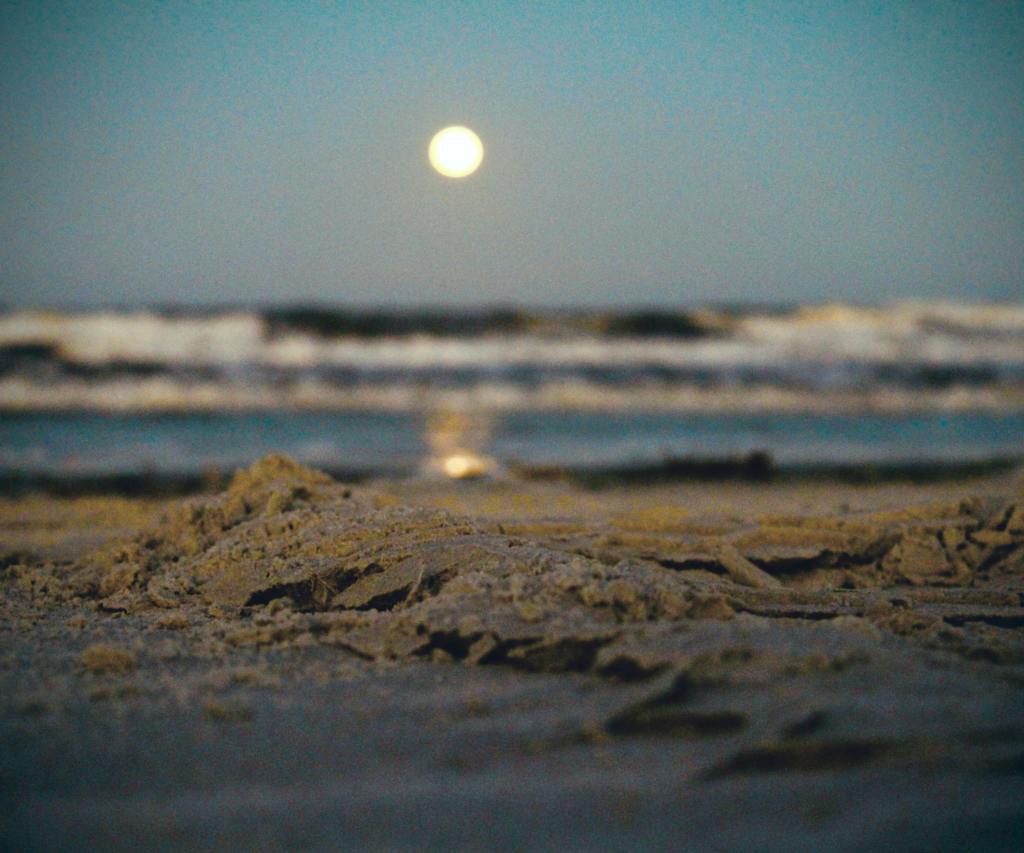 off4thandgraham's tweet photo. New Moon Rising https://t.co/Qnilk3amj7 https://t.co/kyyTAnbQei