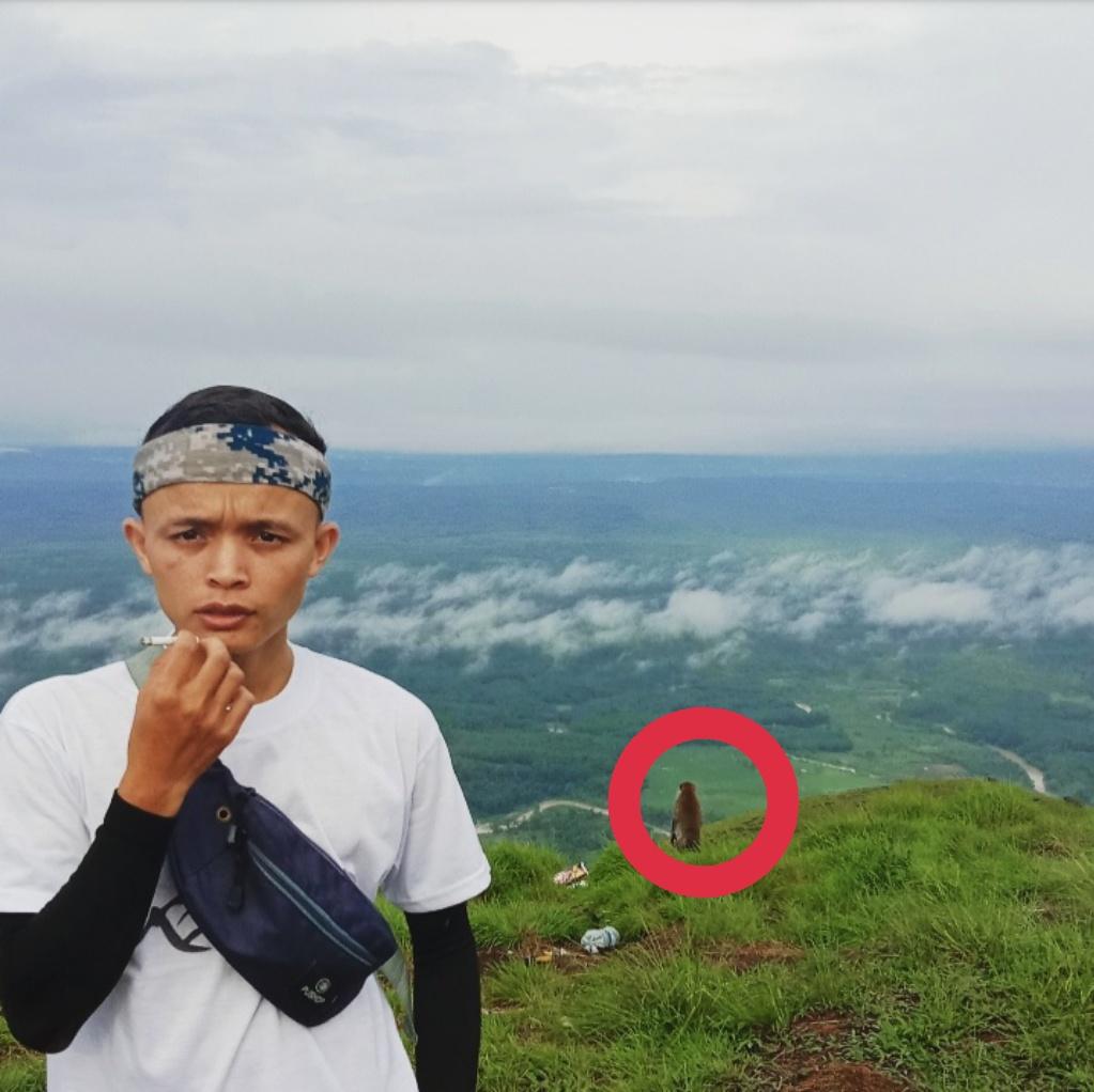 SutrisBee's tweet photo. Asli gua tu gak sadar kalo temen gua udah kena kutuk jadi monyet π€π€£
#HahaBodoAmat
#SelasaSambat
#selasaambyar
#AzabGabenerBodong
#DramaTwitterid
#recehantwitter
#twitteredan
#banjir
#lahat https://t.co/TP6ZQ0CYE8