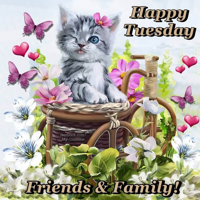 Leelaks20's tweet photo. Happy Tuesday friends &amp; family.

#TuesdayThoughts #TuesdayMotivation #HappyDays #LeelaKS https://t.co/2N4hIMKxQA