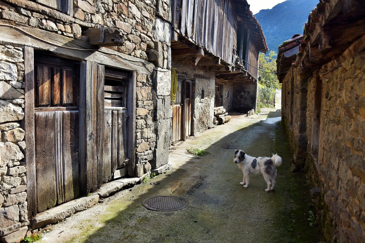 AYUNTAMIENTO DE CASO. PARQUE NATURAL DE REDES tweet media