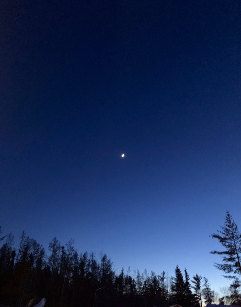 SunsetViewWI's tweet photo. A beautiful ending to a gorgeous day! 46° in Northern Wisconsin in February?!? We’ll take it! ☀️✨🌙
#nightsky #sunnyday #postlake https://t.co/x5KI2twKWL