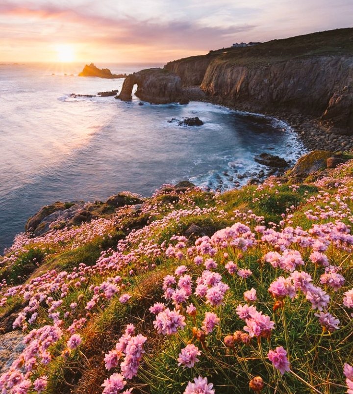  ₐ (@totosayman) on Twitter photo 