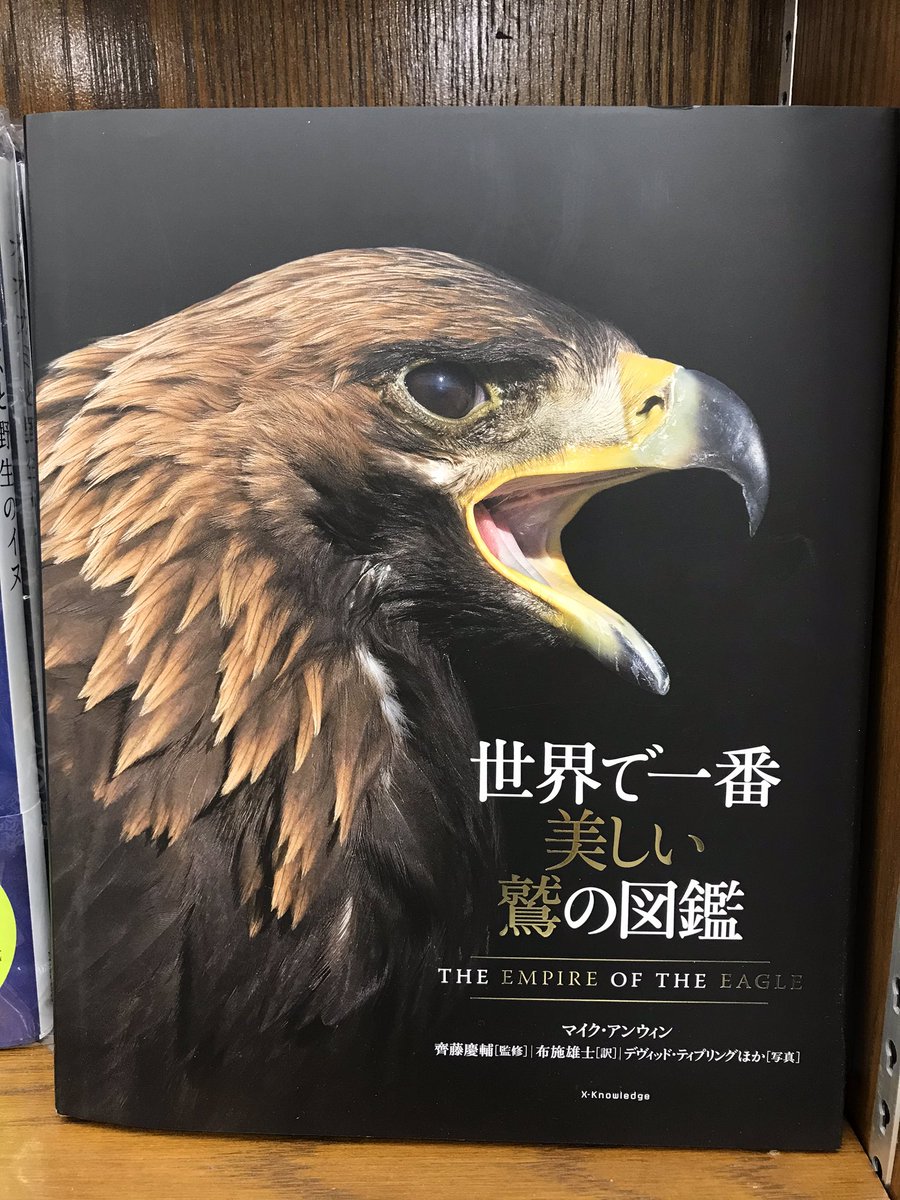 エクスナレッジの図鑑にカッコいい新刊が出ました 今回は鋭い視線が目を引く 鷲の図鑑です カッコいいだけでなく可愛い写真もあり 02 25 丸善岡山シンフォニービル店