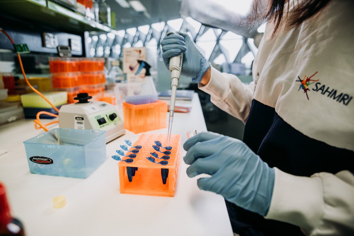 sahmriAU's tweet photo. Congratulations to SAHMRI researchers A/Prof Daniel Thomas, Prof Geraint Rogers, A/Prof Leonie Heilbronn and Dr Jyoti Khadka who were all successful in the latest round of @hosp_research grants.
Learn more about the funded projects: https://t.co/YiwyMjJRMj https://t.co/5xbbF1sRvV
