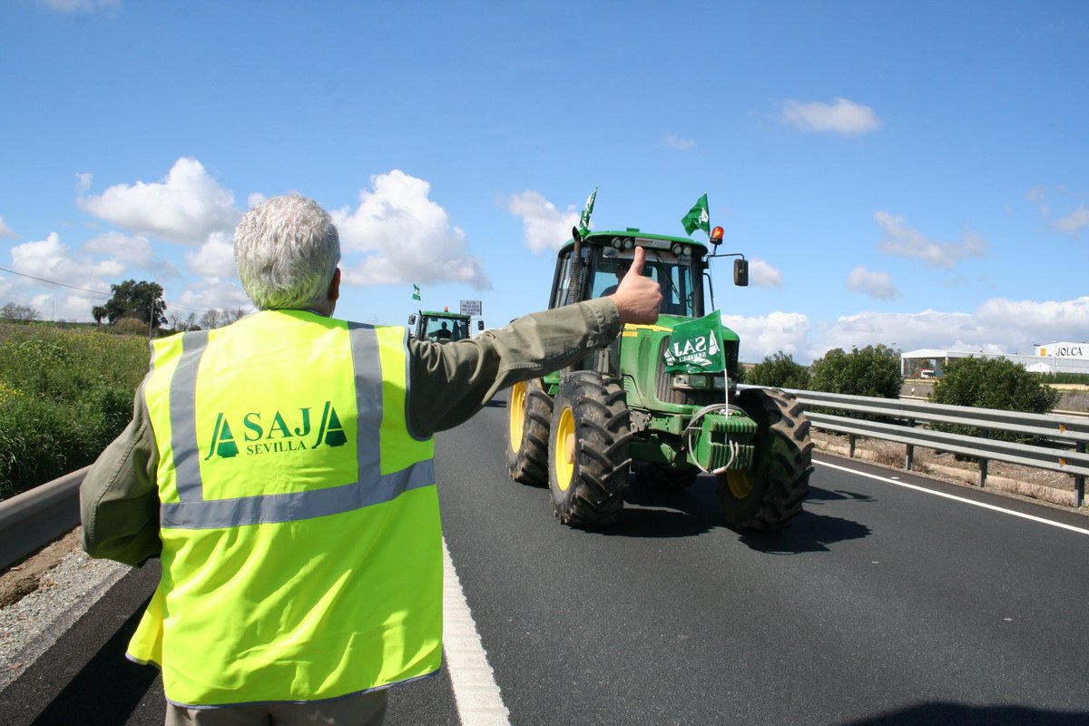 ASAJASEVILLA's tweet photo. Enorme respaldo a la protesta del Campo de Sevilla 👨🏼‍🌾🚜👩🏼‍🌾que cuenta con el apoyo de decenas de ayuntamientos, empresas de suministro y organizaciones, entre otras: @FeraguaRegantes @CEAes_ @fedarroceros @IGPManzyGord @asemesa  #ASEMA #Asociafruit @andaluciacaza 👏🏼👏🏼👏🏼👏🏼👏🏼 https://t.co/bcT0WuB57u