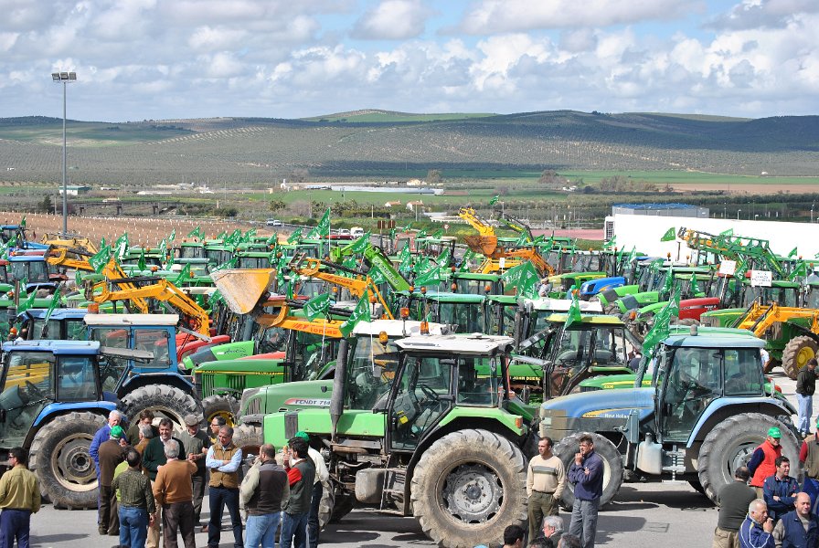 ASAJASEVILLA's tweet photo. Enorme respaldo a la protesta del Campo de Sevilla 👨🏼‍🌾🚜👩🏼‍🌾que cuenta con el apoyo de decenas de ayuntamientos, empresas de suministro y organizaciones, entre otras: @FeraguaRegantes @CEAes_ @fedarroceros @IGPManzyGord @asemesa  #ASEMA #Asociafruit @andaluciacaza 👏🏼👏🏼👏🏼👏🏼👏🏼 https://t.co/bcT0WuB57u