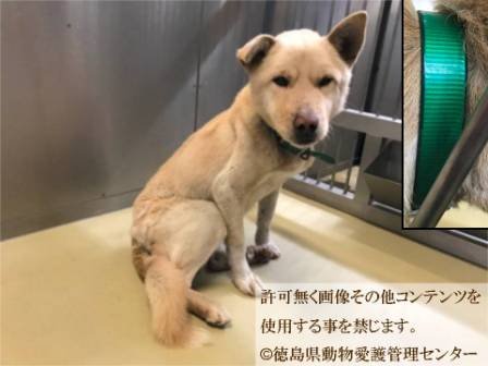 福井町